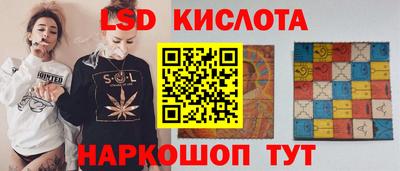 ГАЛЛЮЦИНОГЕННЫЕ ГРИБЫ Новозыбков