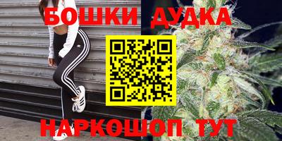 ГАЛЛЮЦИНОГЕННЫЕ ГРИБЫ Новозыбков