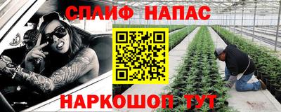 ГАЛЛЮЦИНОГЕННЫЕ ГРИБЫ Новозыбков